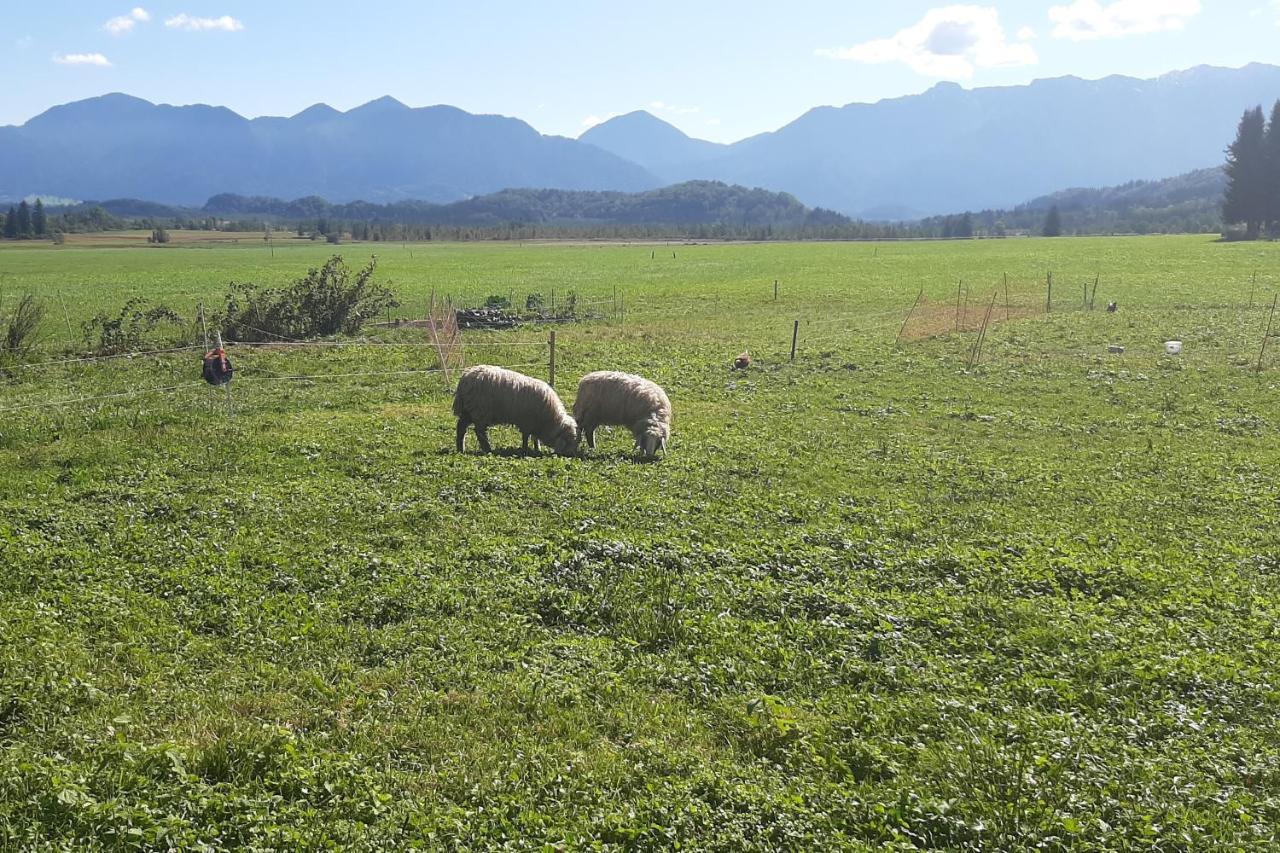 Kultur, Berge, Seen, Moor - Das Lebensglueck มูร์เนา อัม ชตัฟเฟิลเซ ภายนอก รูปภาพ